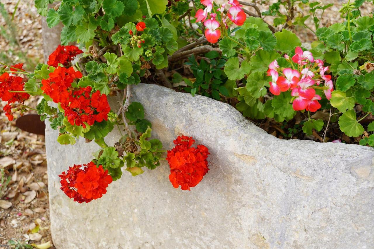 Bed and Breakfast Casina Mozart Lecce Magliano Esterno foto